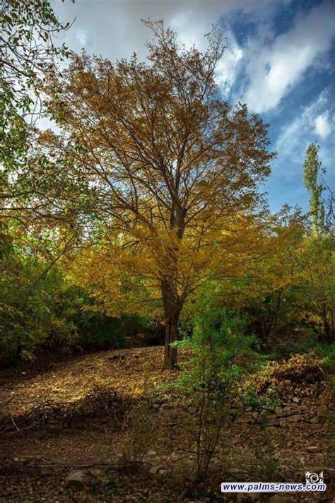 العراقيون يودّعون موجات  الحر اللاهب